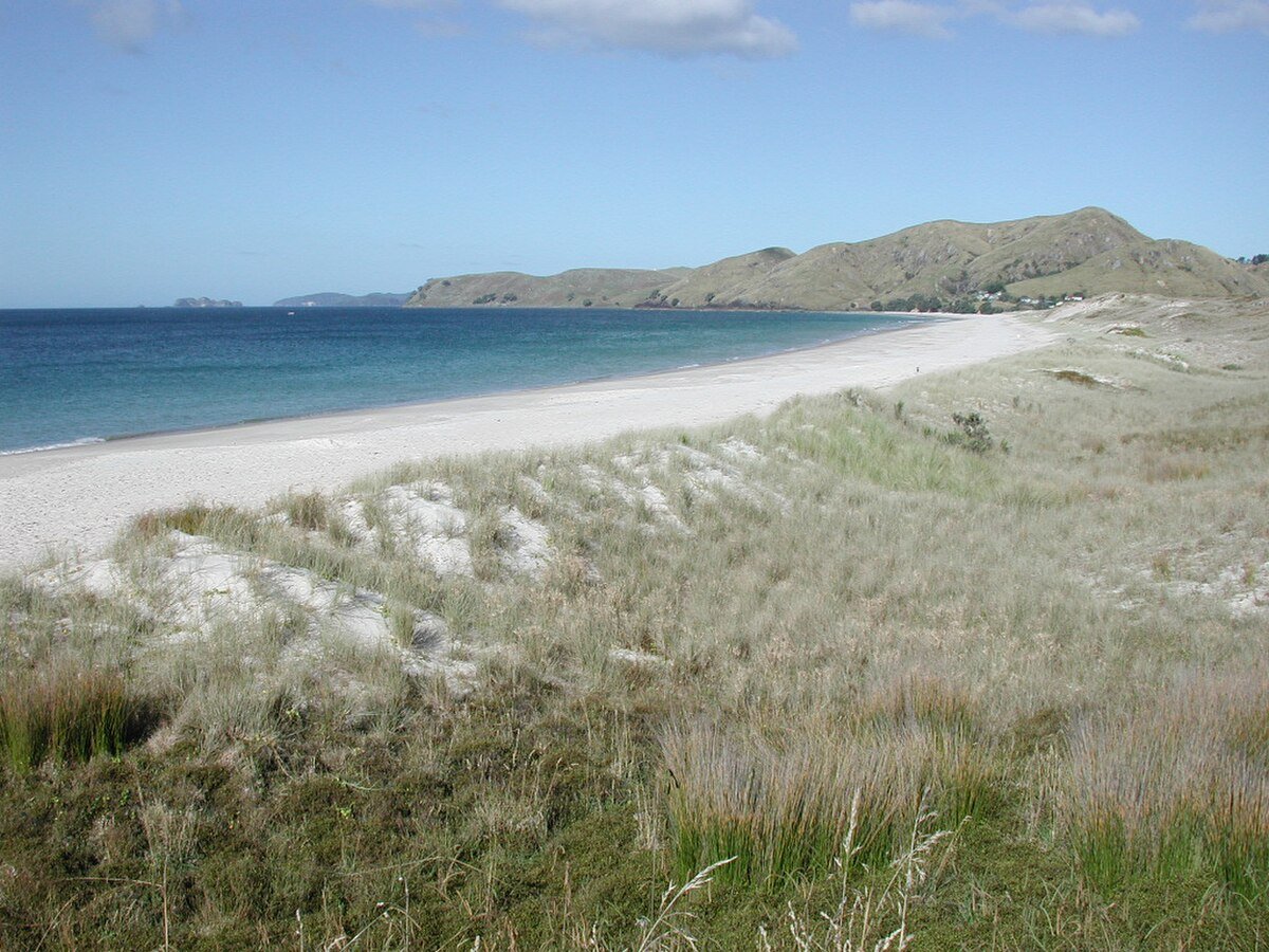 Kūaotunu Beach