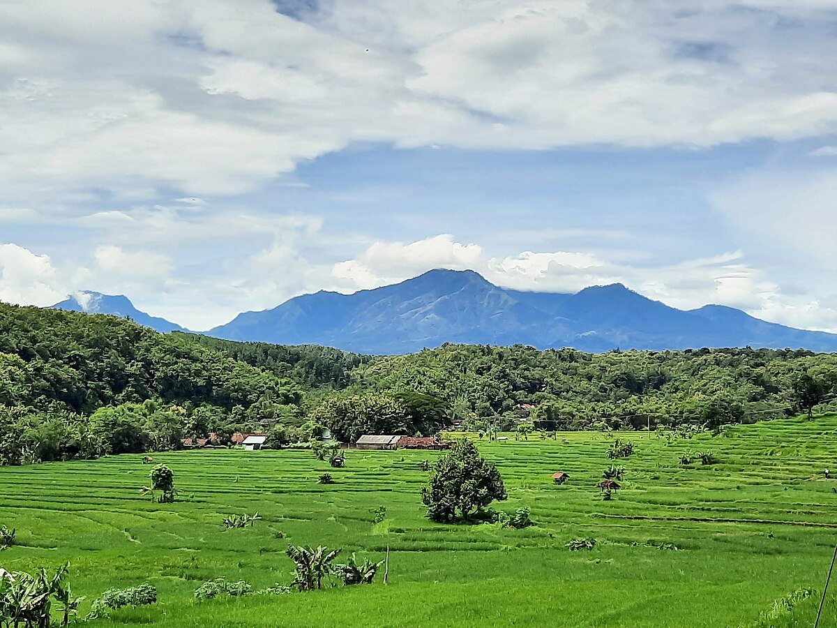 Air Terjun Sedudo