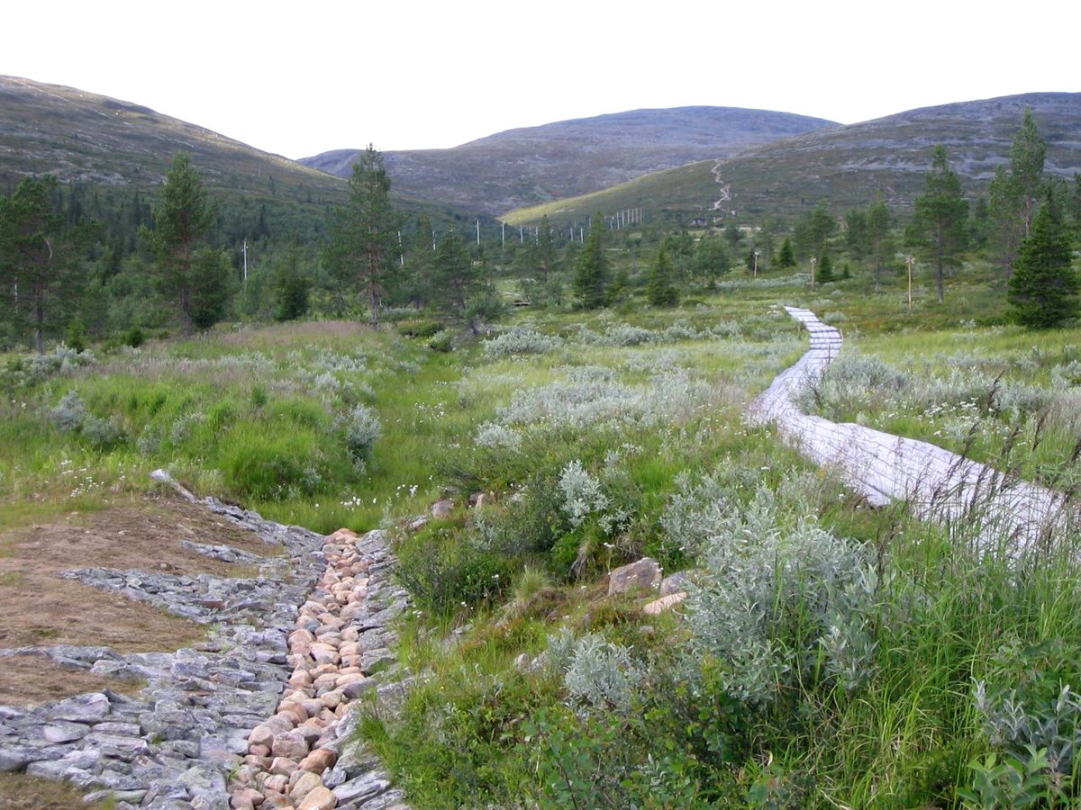 Pallas-Yllästunturi National Park