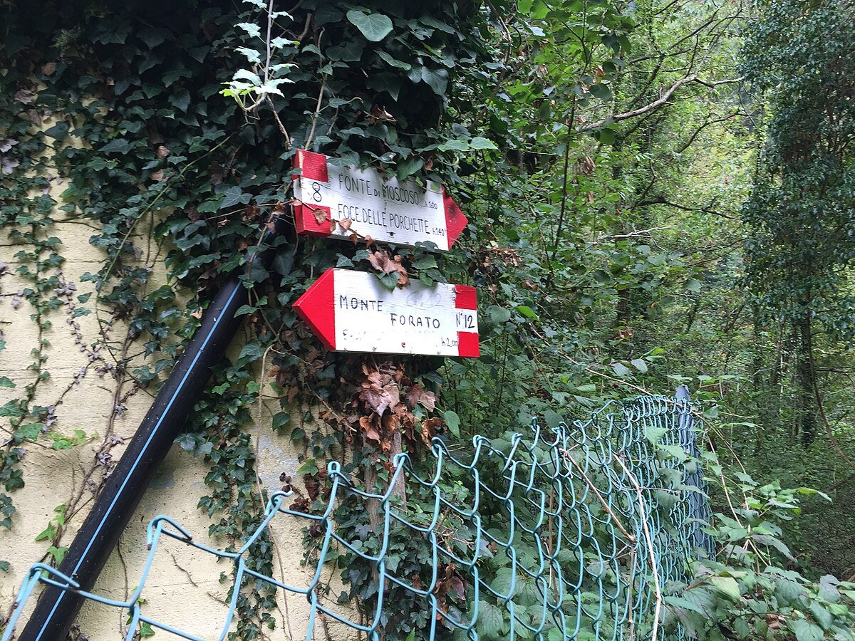 Antro del Corchia
