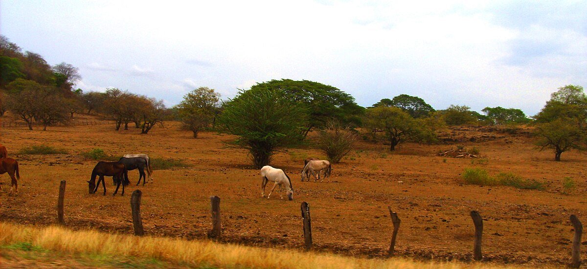 Cerro de Sonzapote