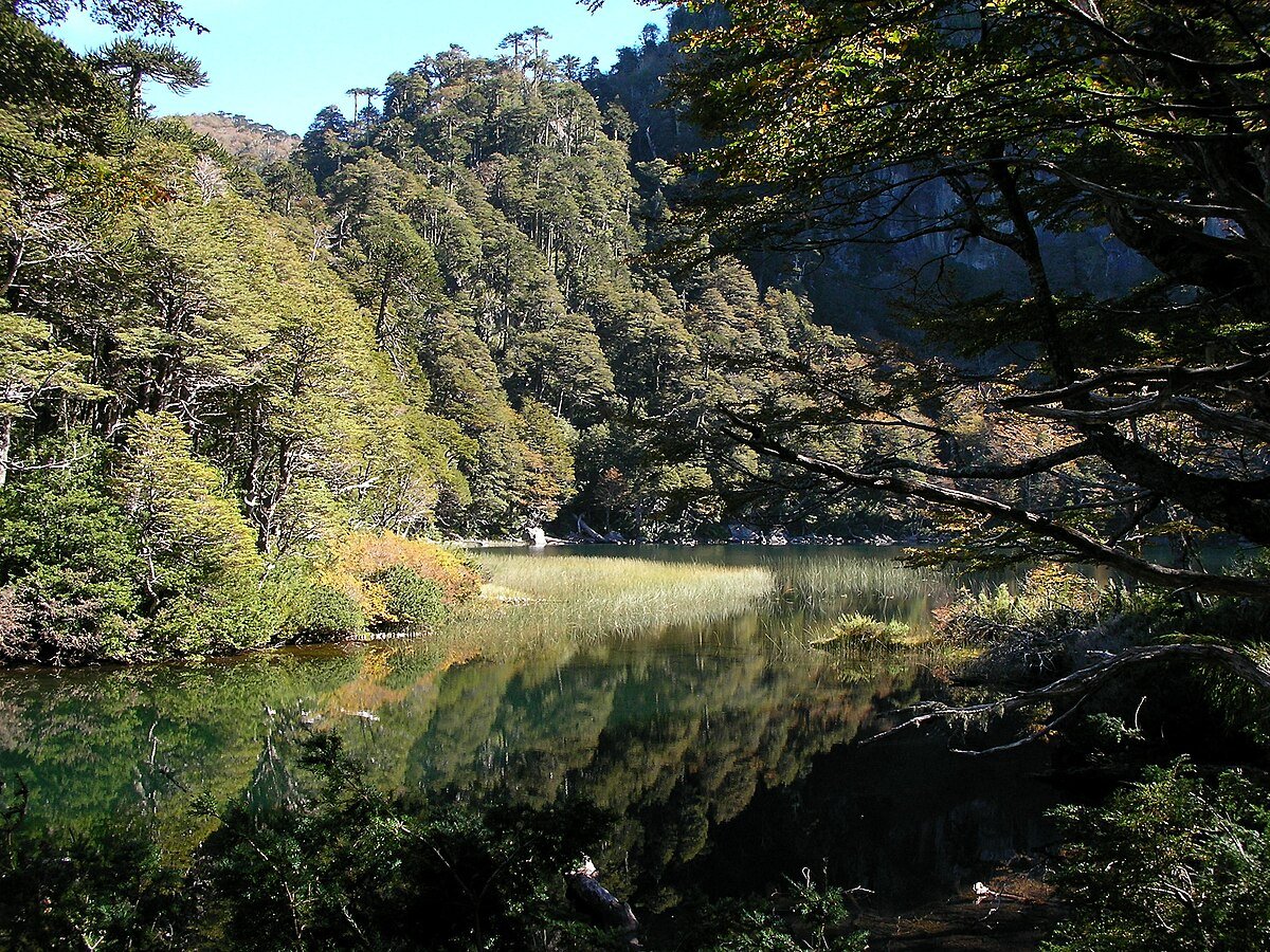 Chico lake