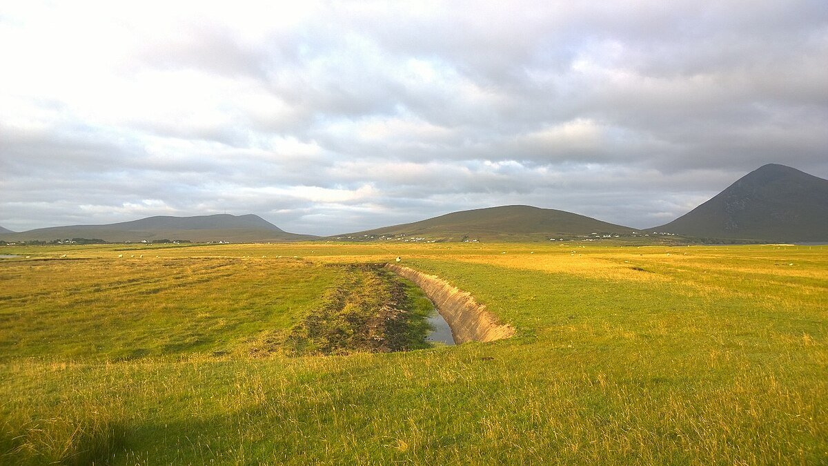 Gubnahardia Strand