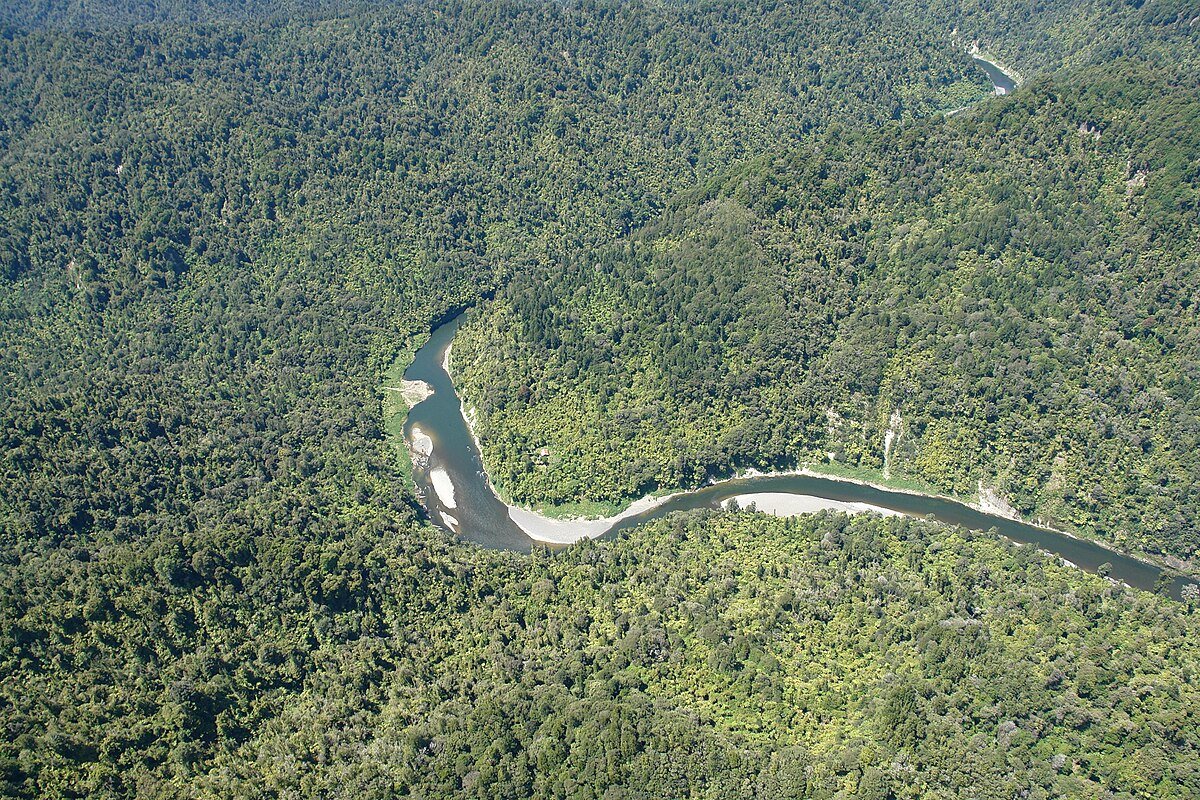 Puraroto