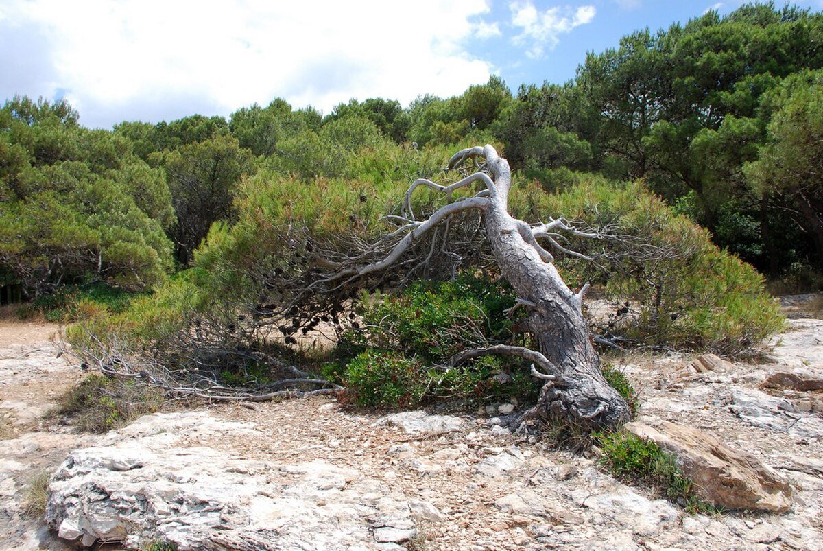Grotta Gaia