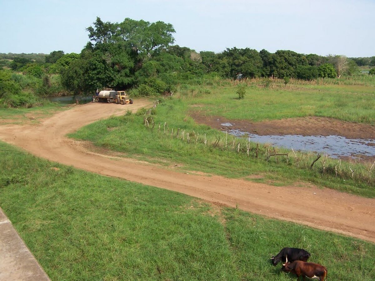 Sivunguvungu