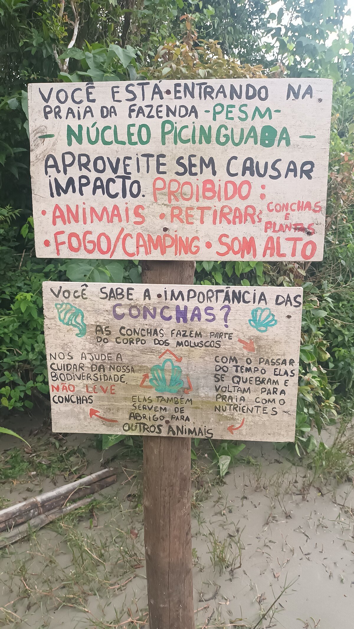 Fazenda Beach