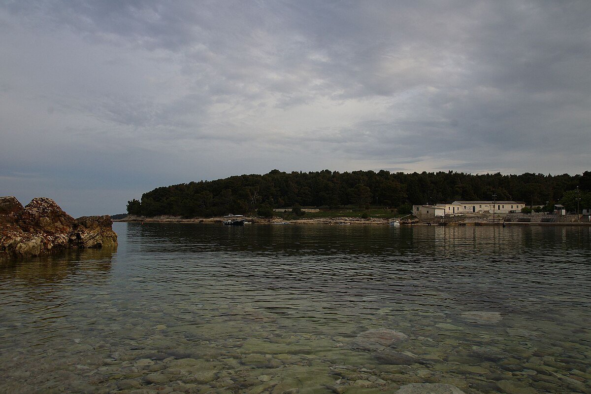 Valsaline
