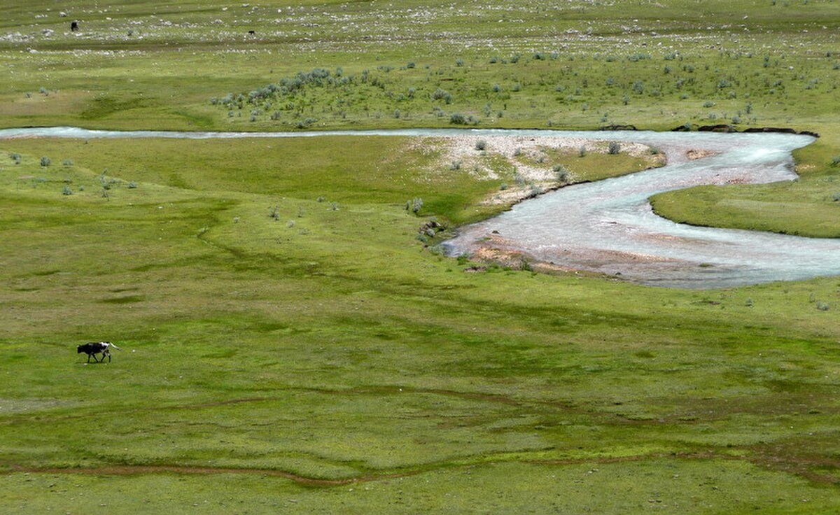 Huallcacocha
