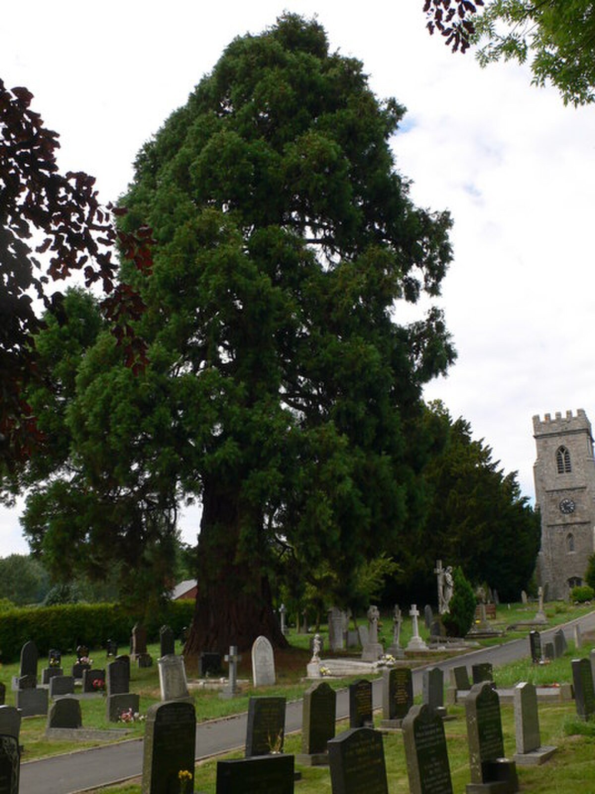 Aberhafesp Hall Mound