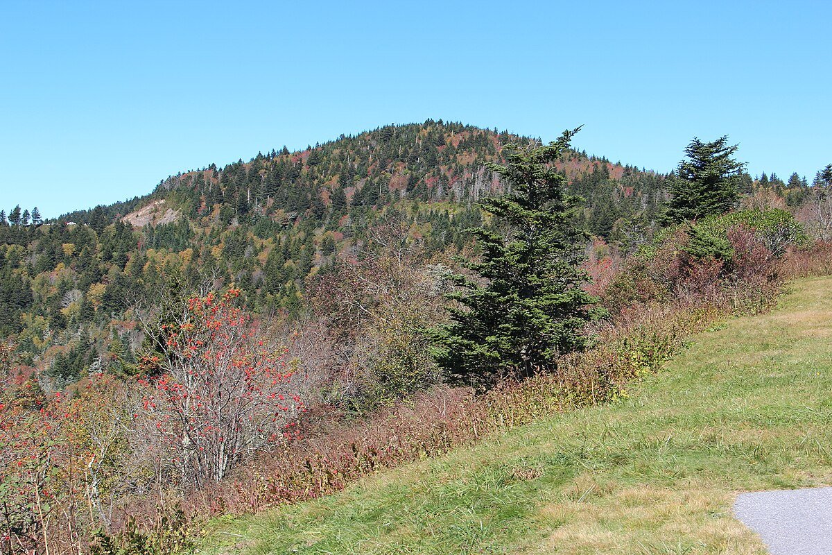 Beartrap Gap Overlook
