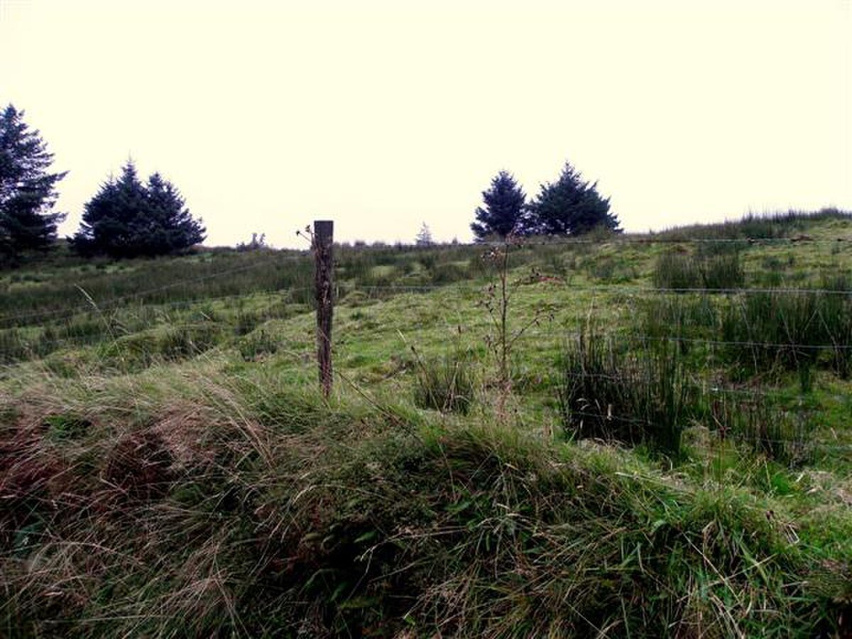 Benbrack (Cavan)