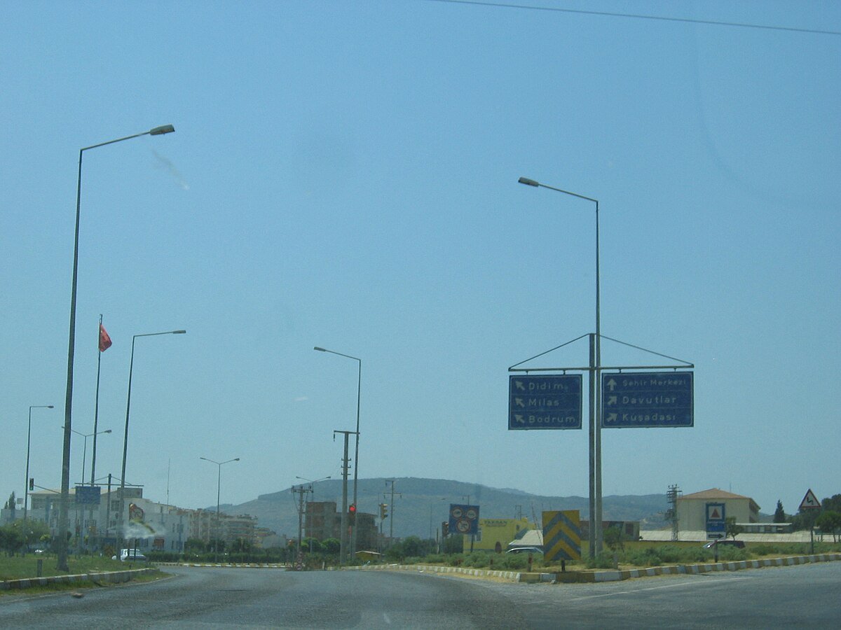 Asarkale (Söke)