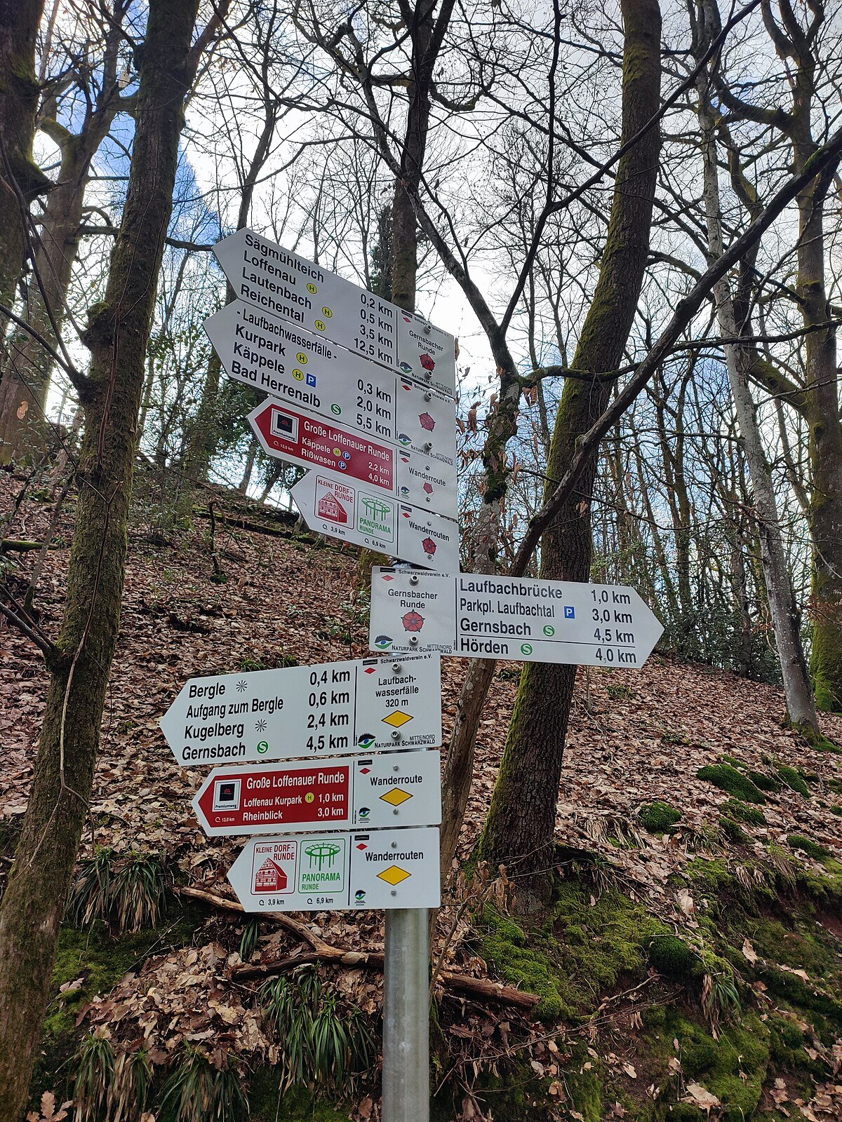 Laufbachfälle