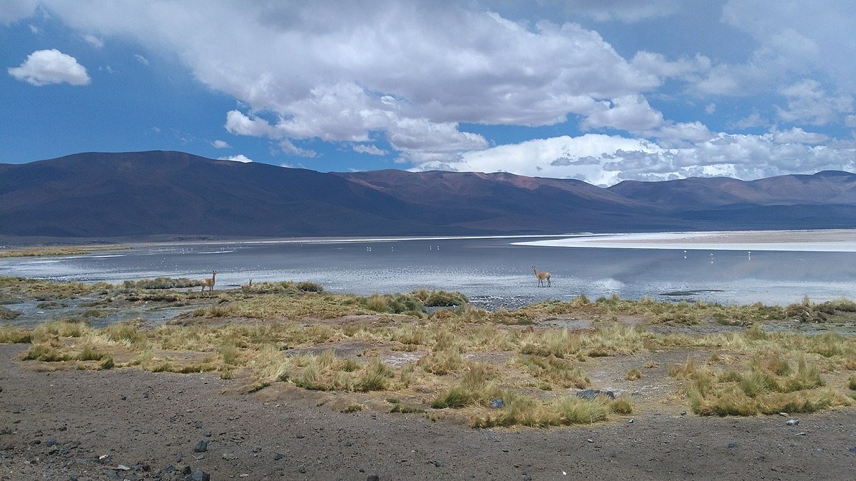 Salar de Aguas Calientes IV