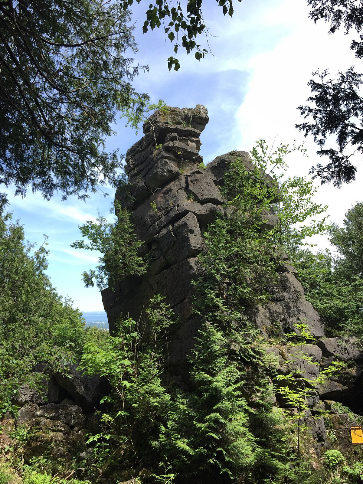 The Caves