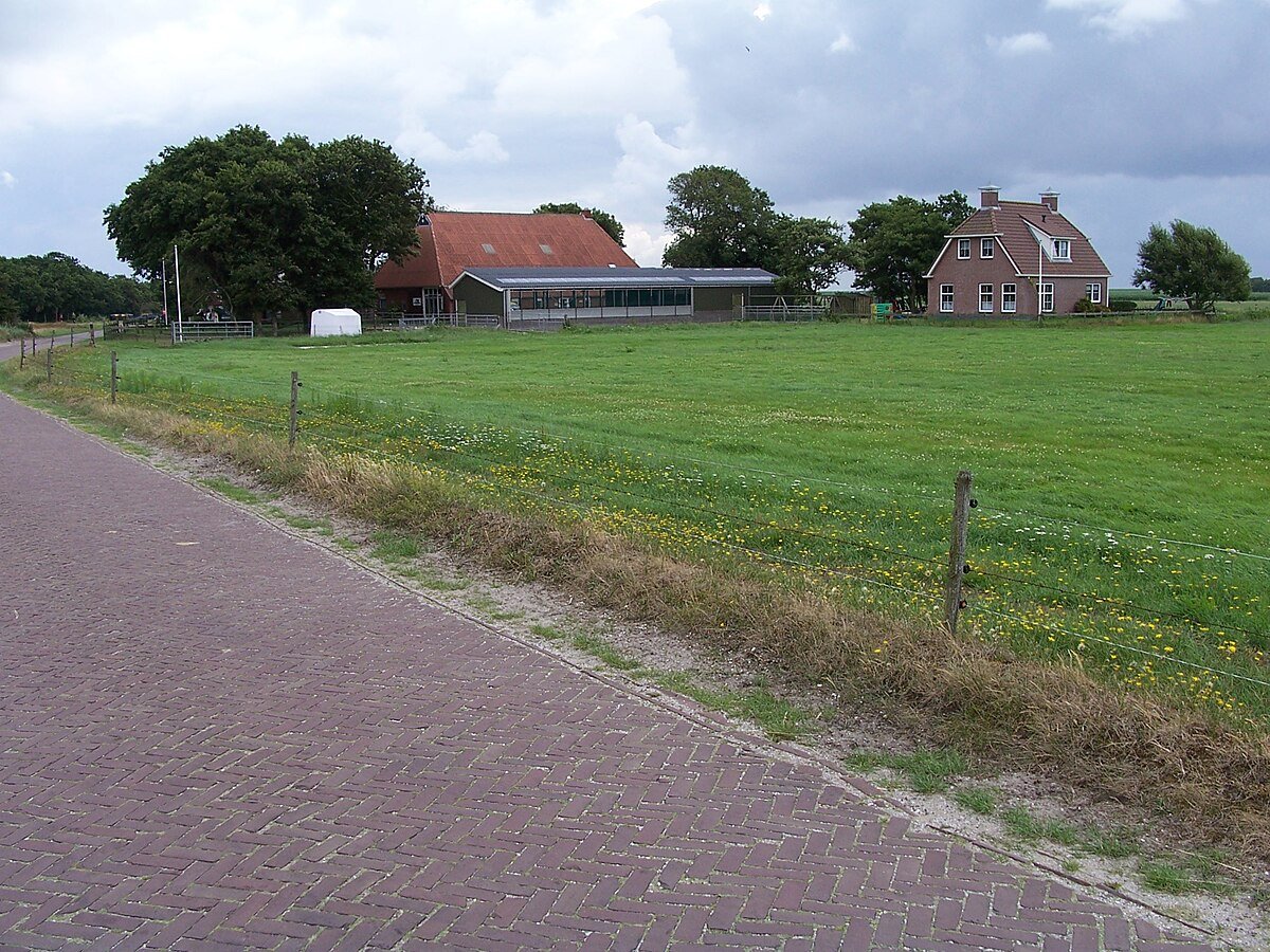 Berkenplas