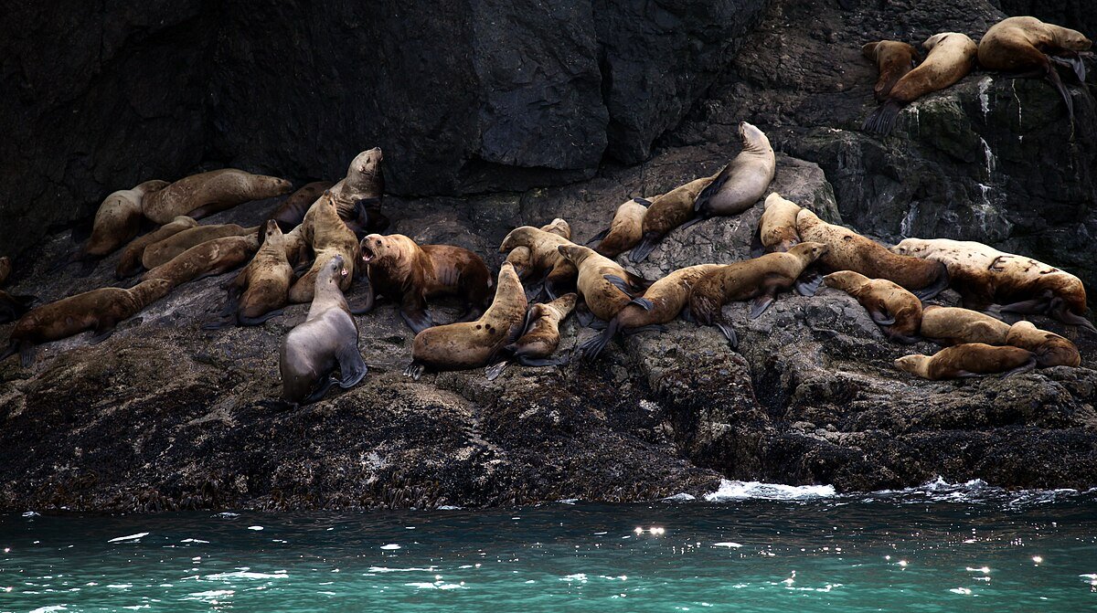 Busby Island