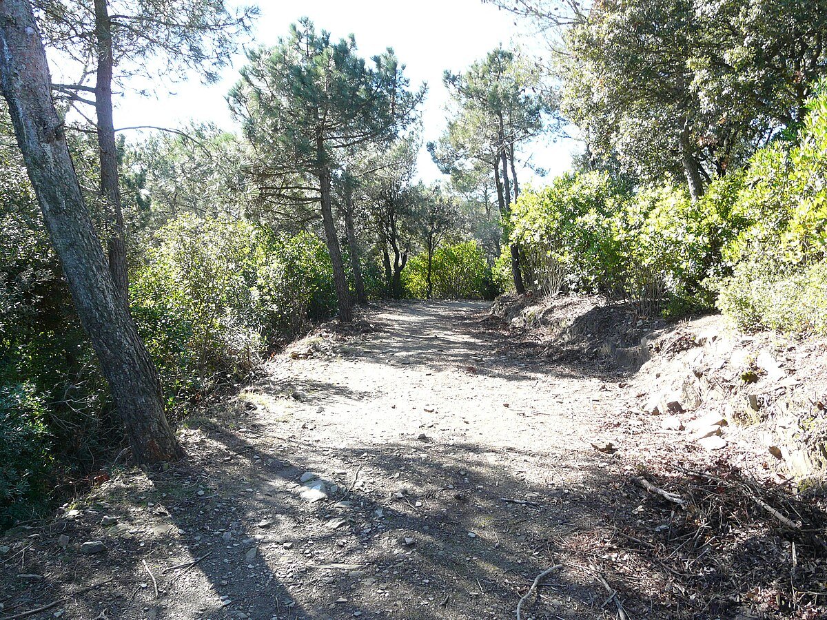Mirador de la Rabassada
