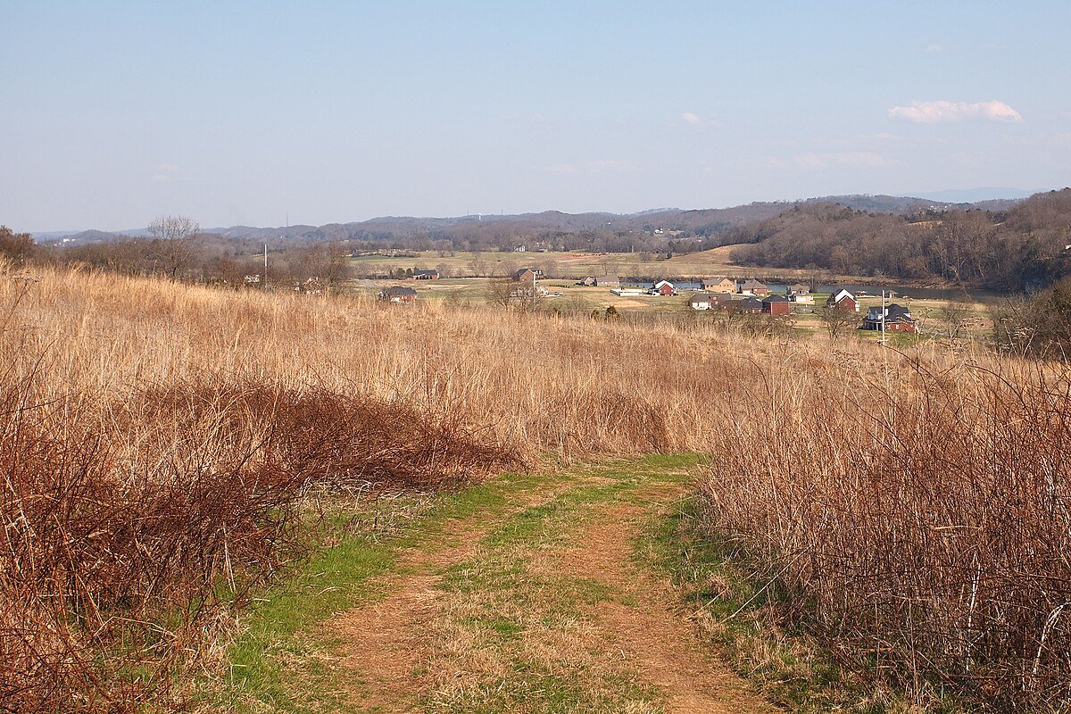 Adkins Mountain