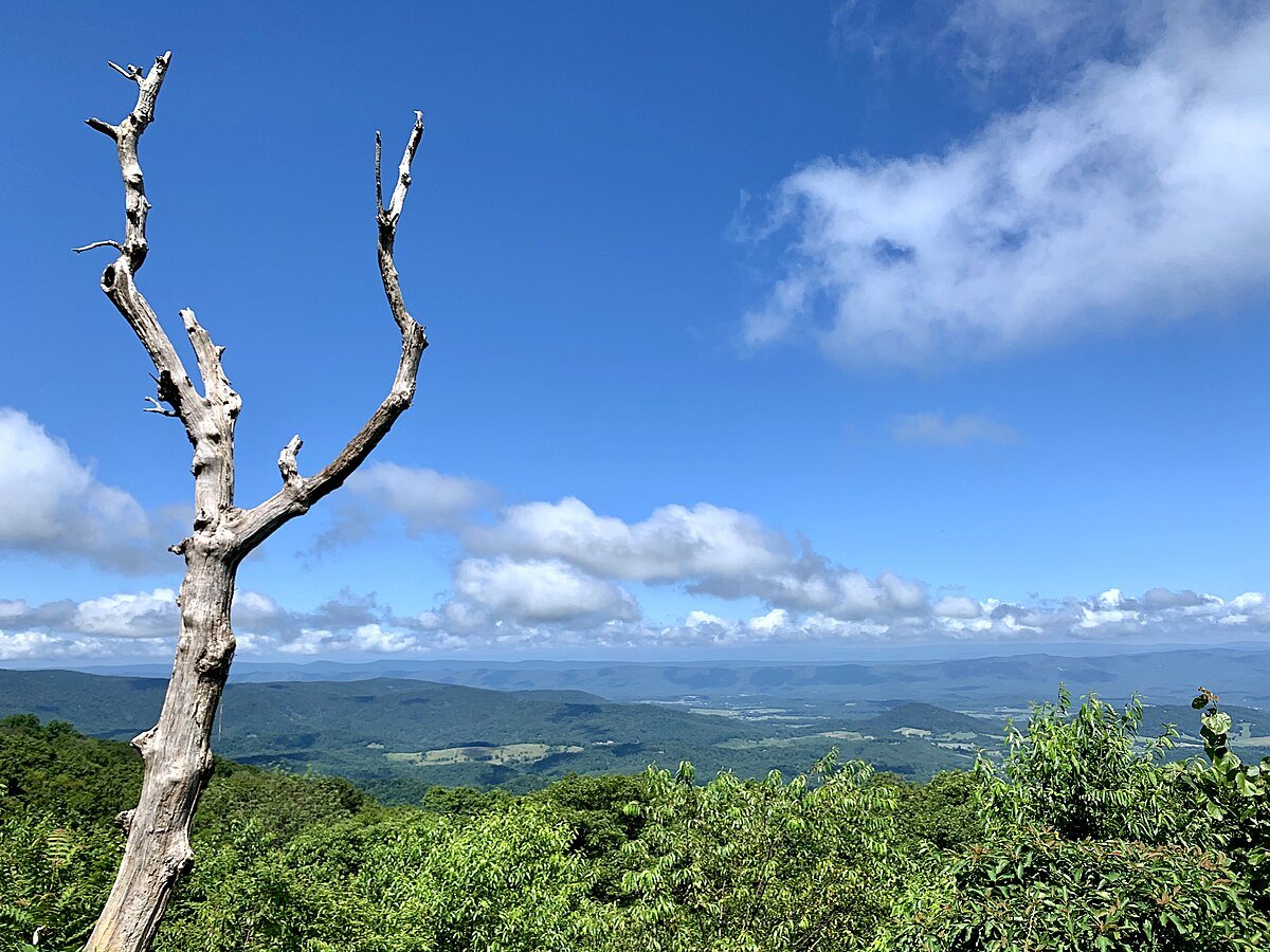 Browntown Valley Overlook