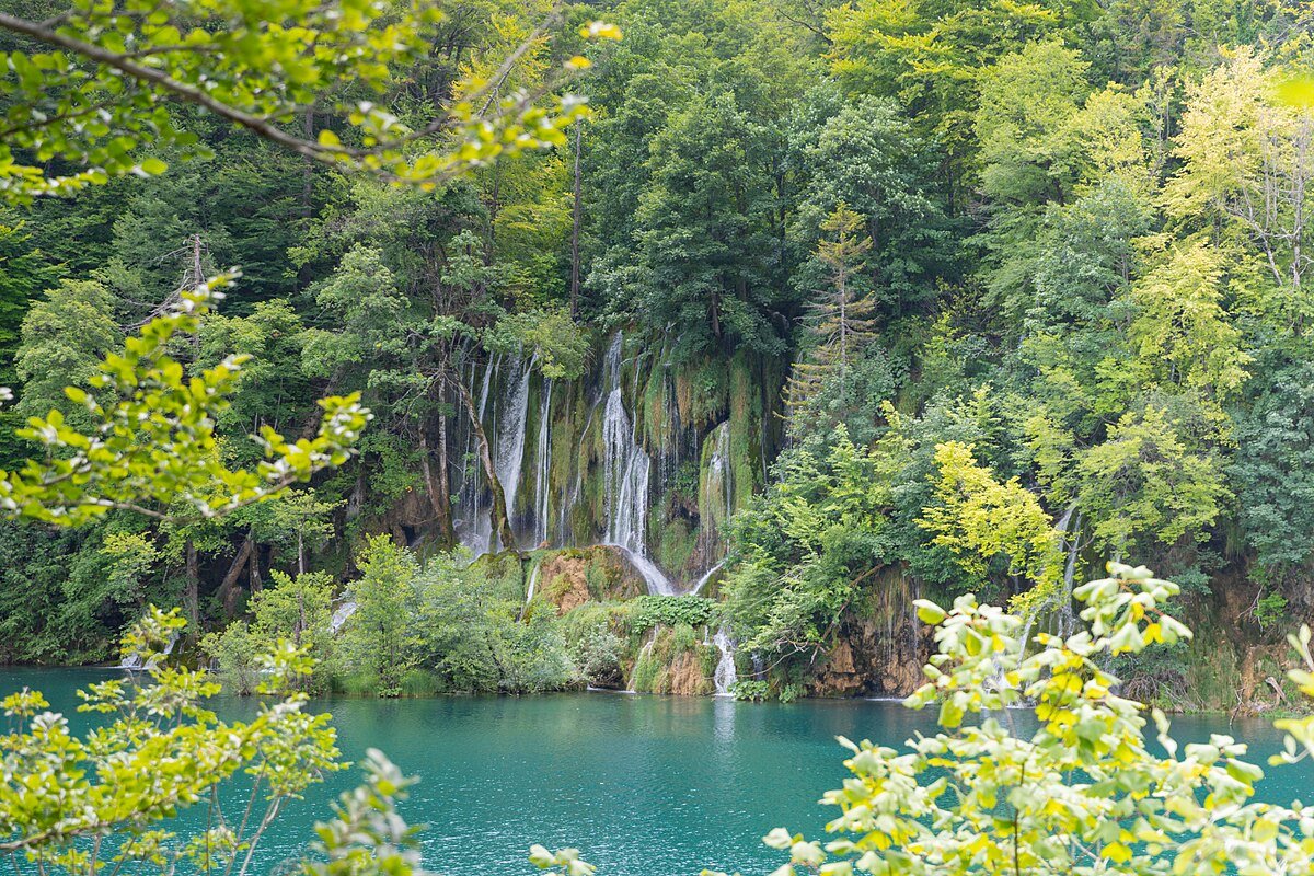 Okrugljak