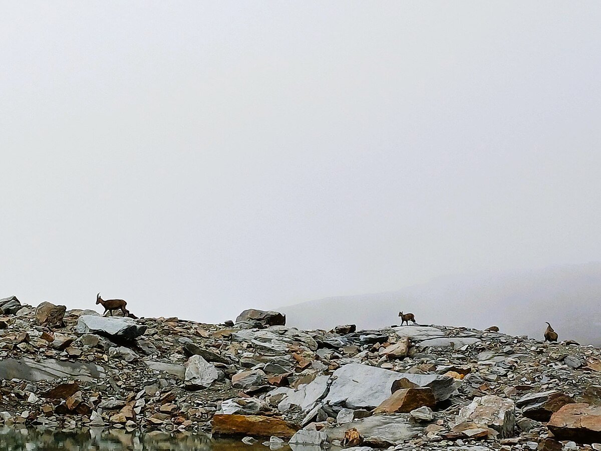 Bors Glacier