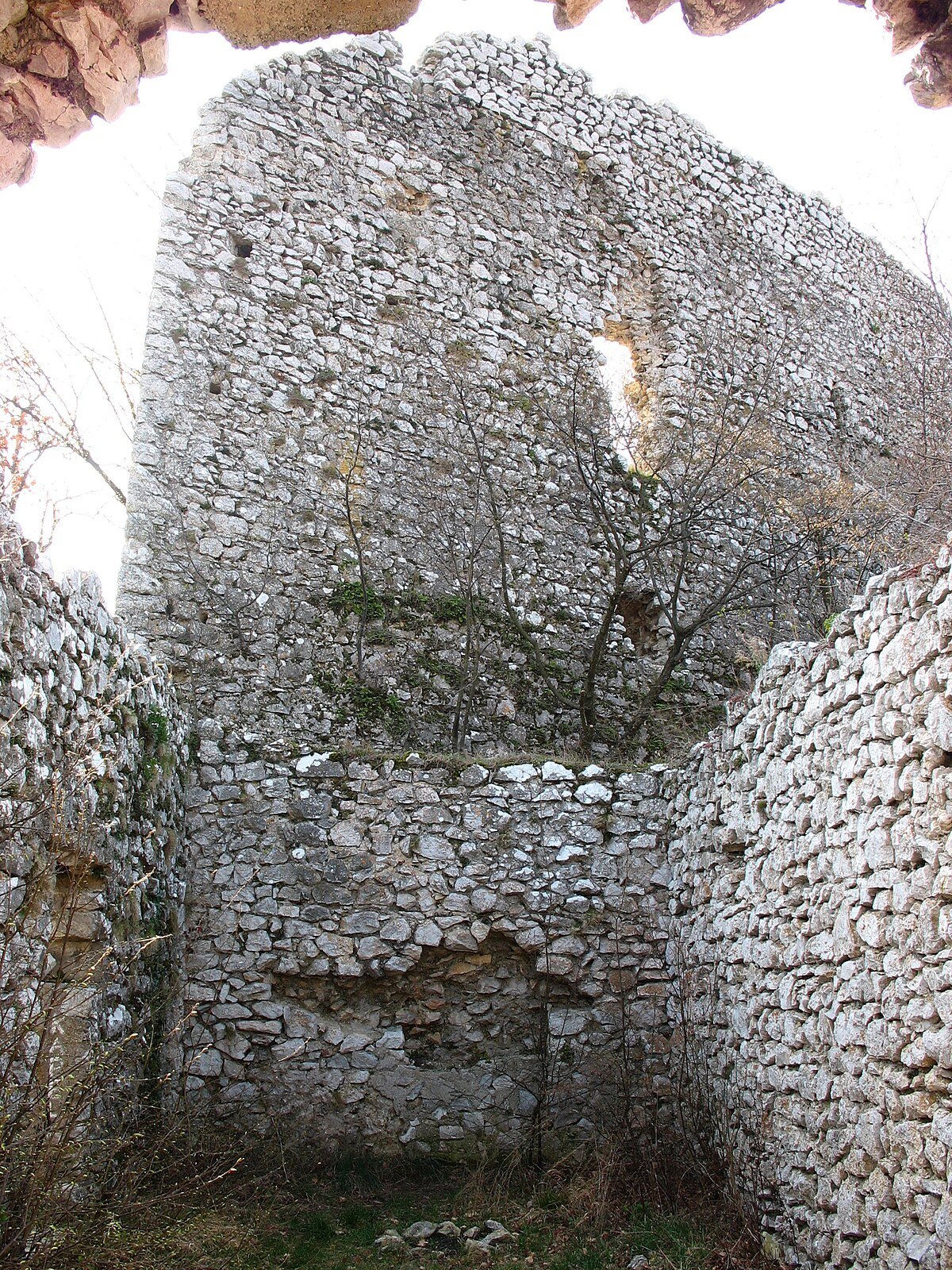Okić