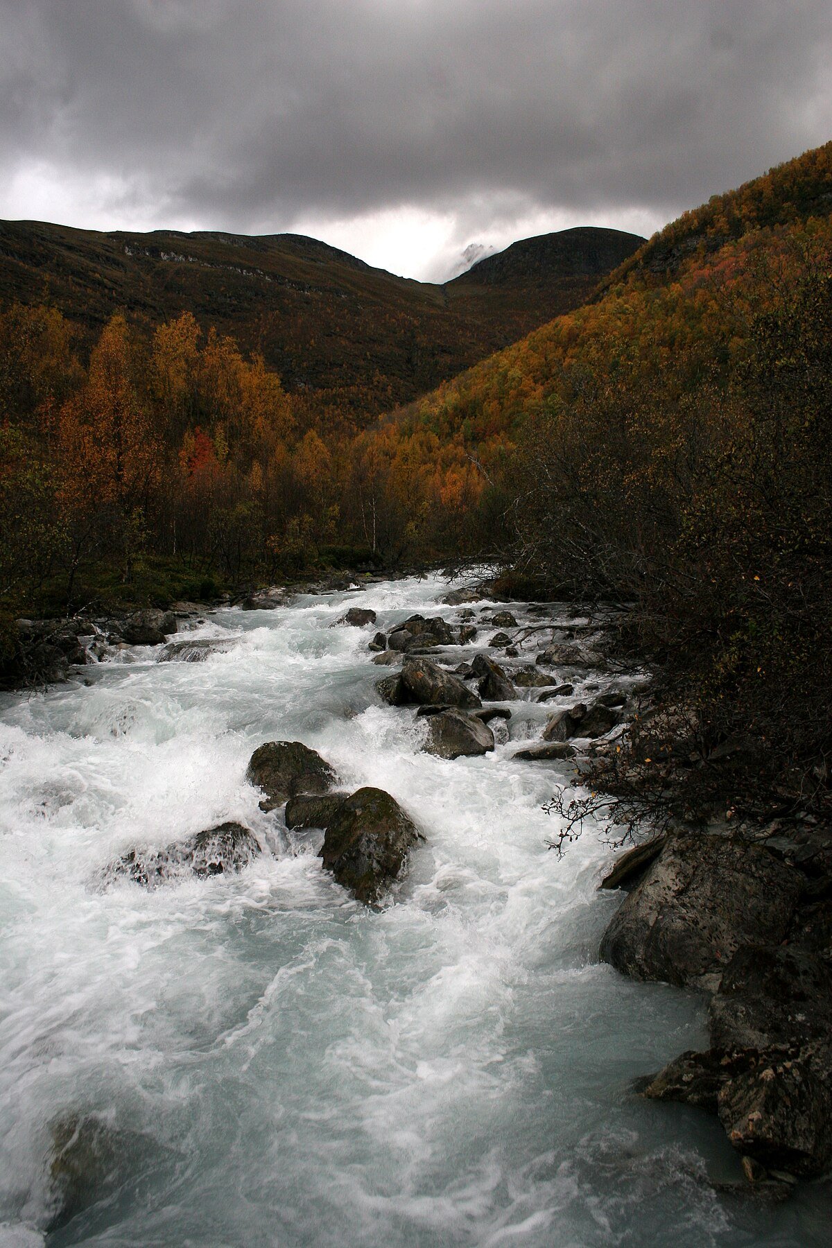 Luovttareašši