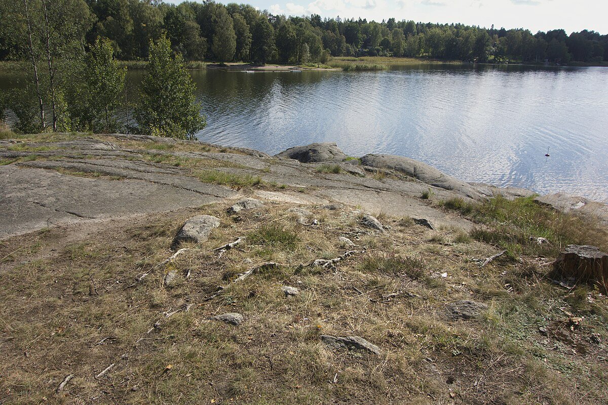 Dog bath Drevviken