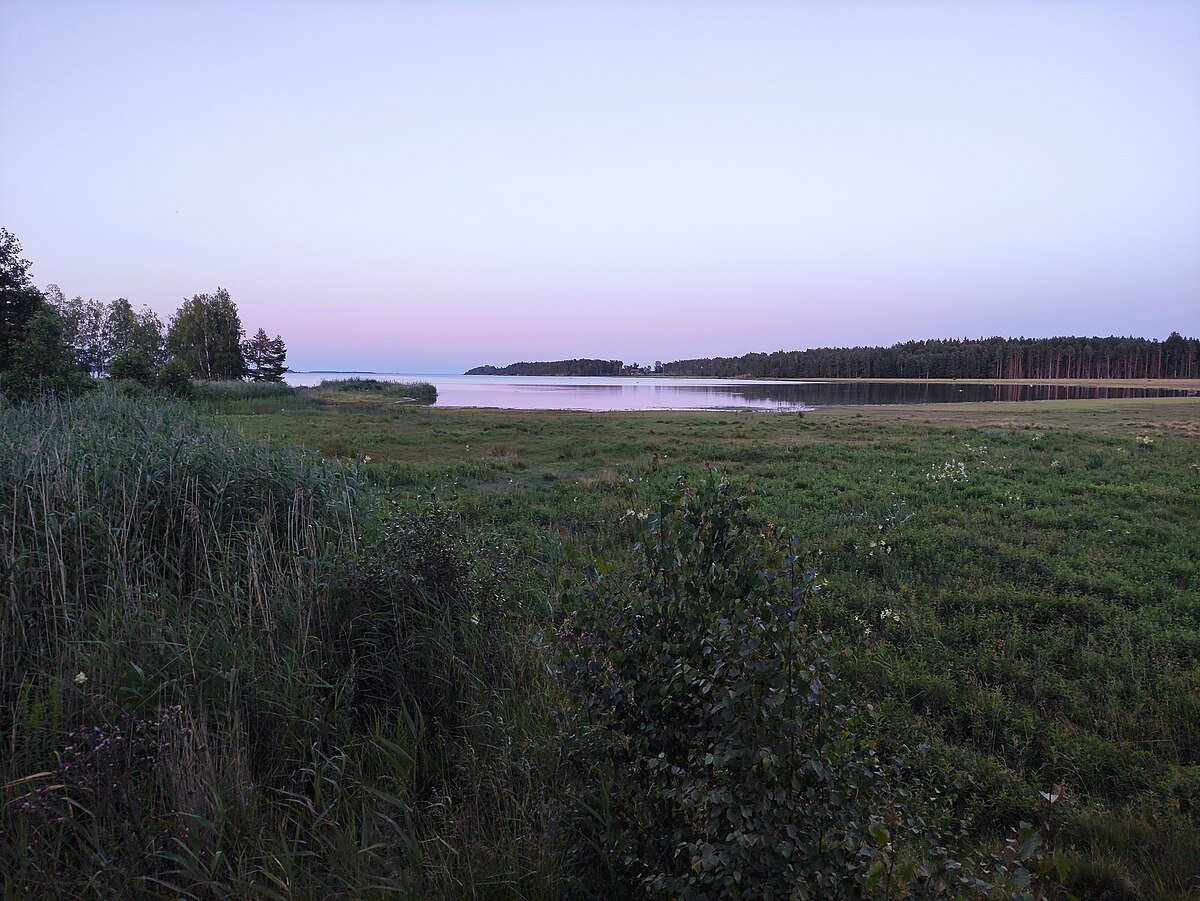 Strandstuvikens nya fågeltorn