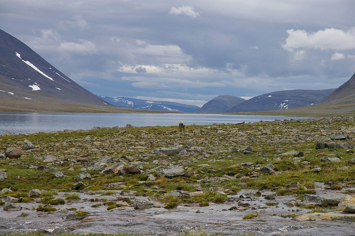 Tjäktjapakteglaciären