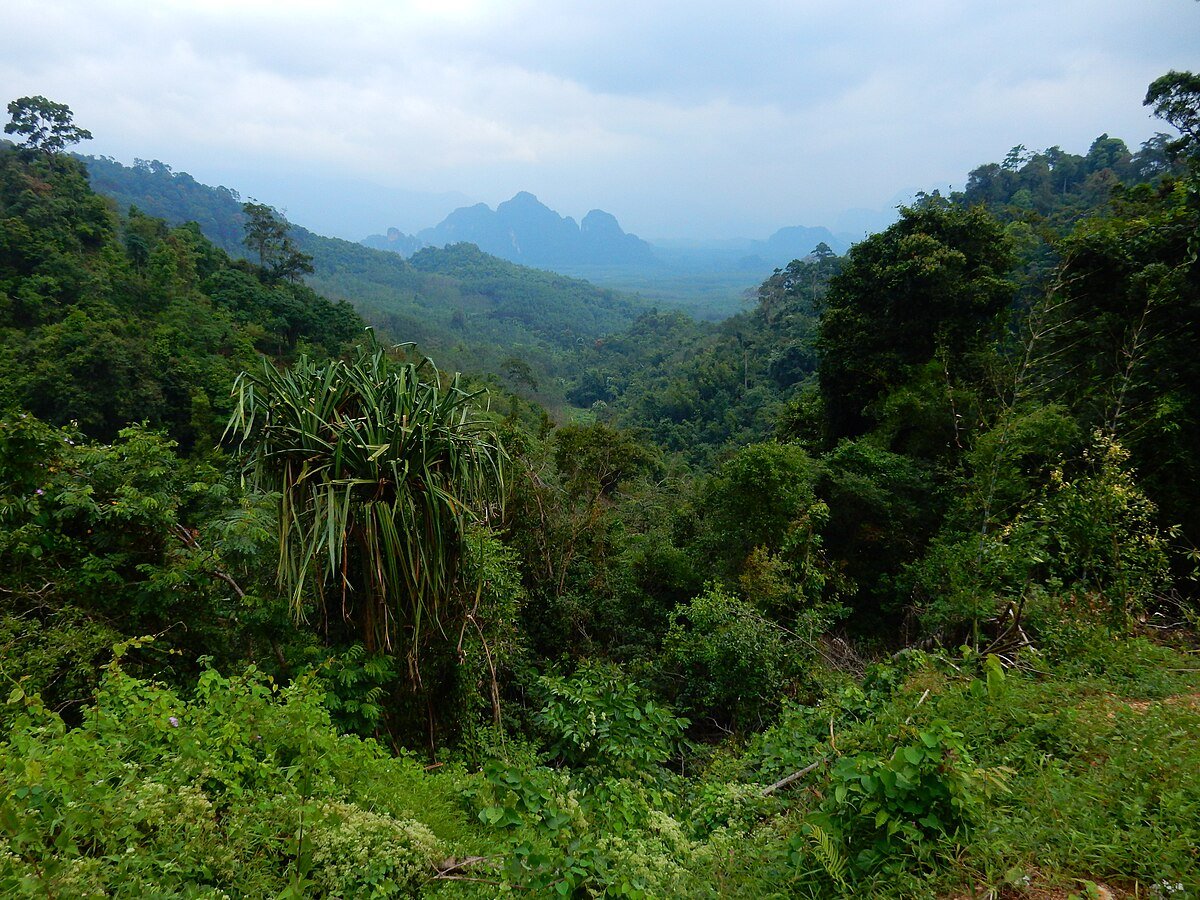 Mae Yai waterfall