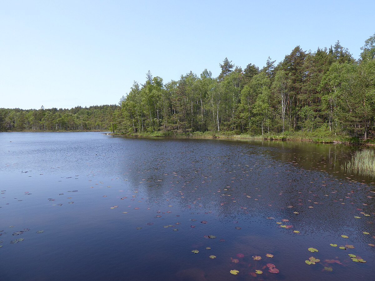 Stenstugan