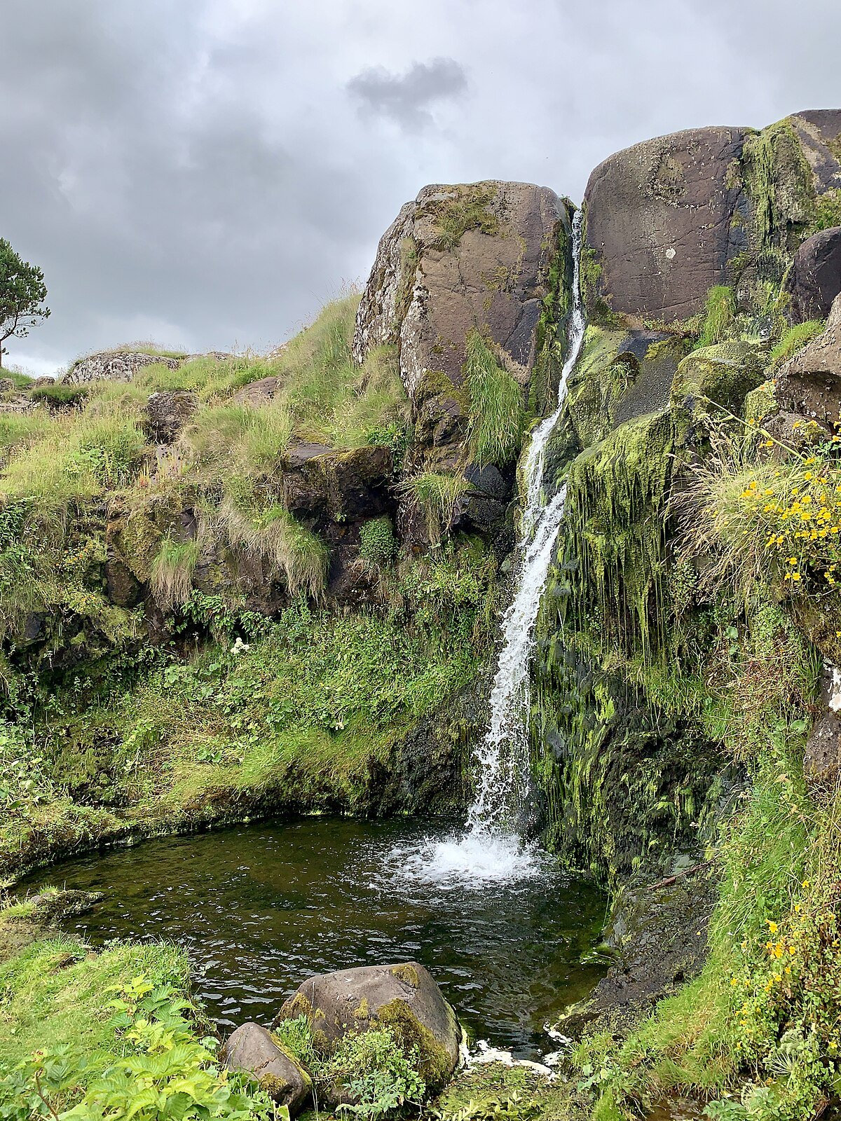 Svartafoss