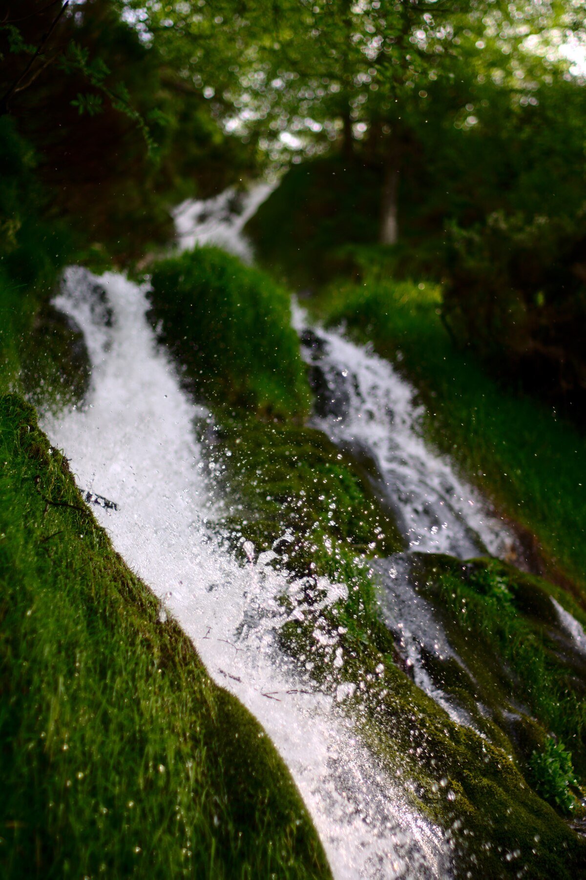 Mongayu Waterfall