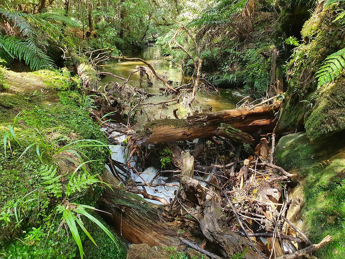 Lower Double Falls