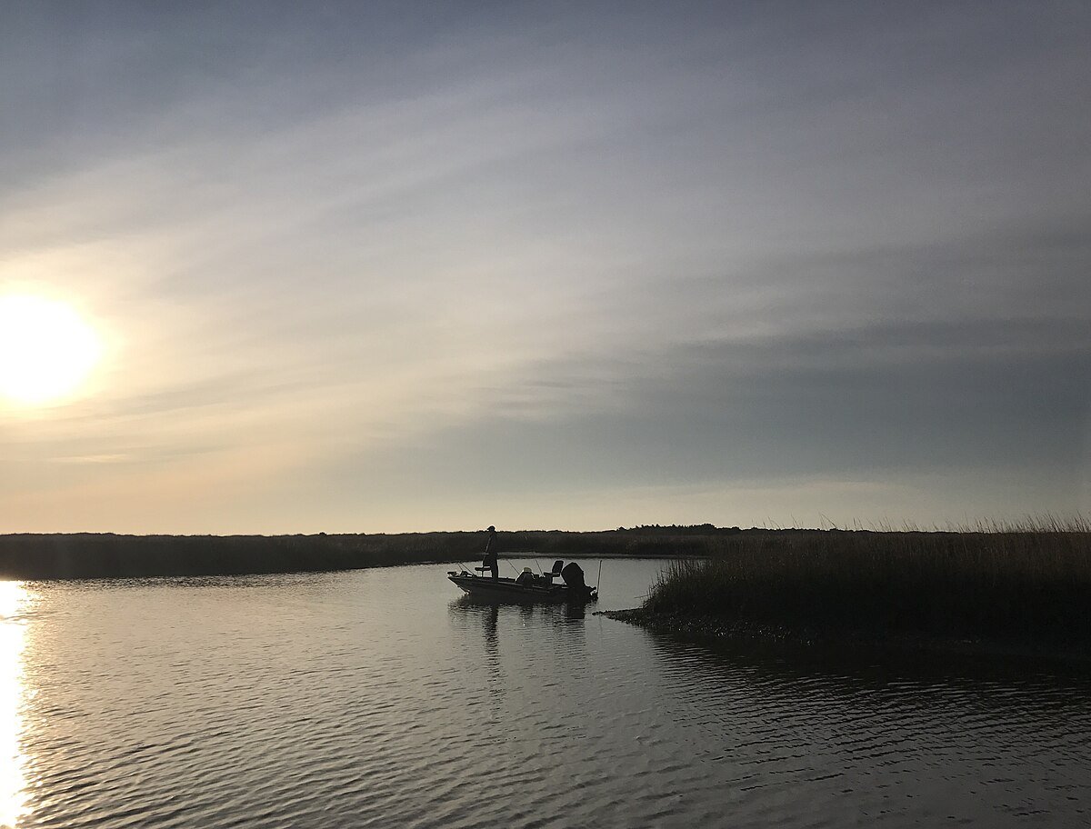 Bay Beach