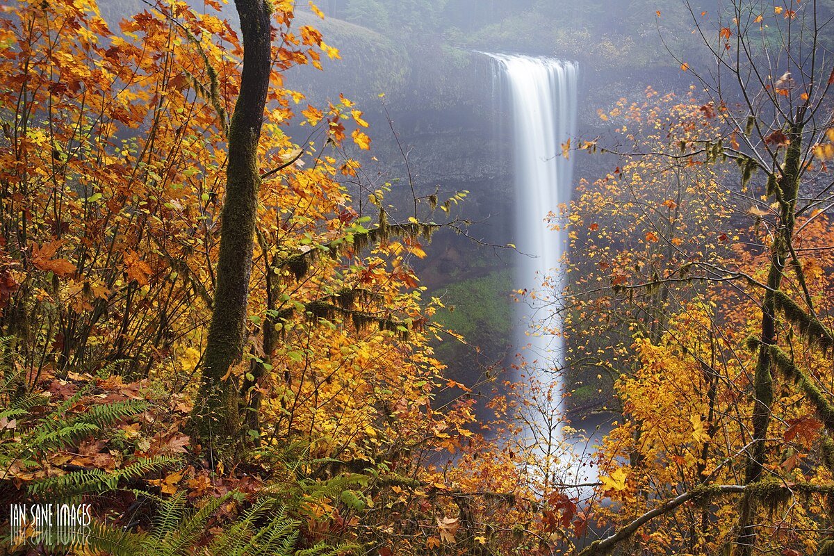 Baker Creek Falls