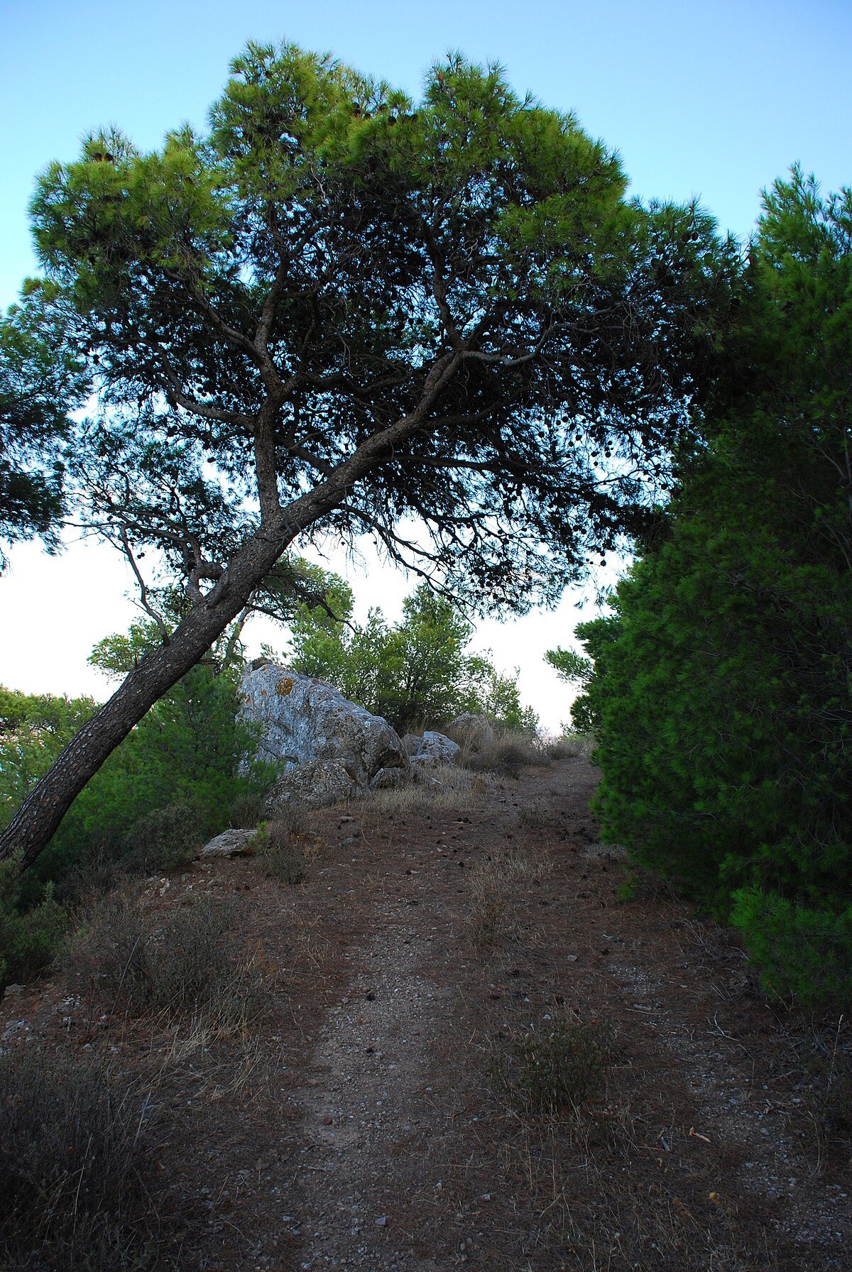 Cave of Kitsos