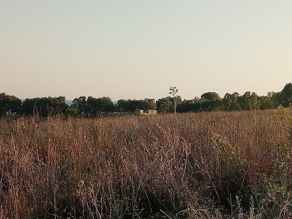 Lido Stella Mattutina