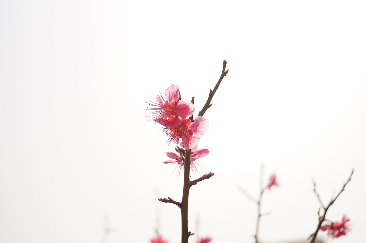 Kunsan-jŏsuji