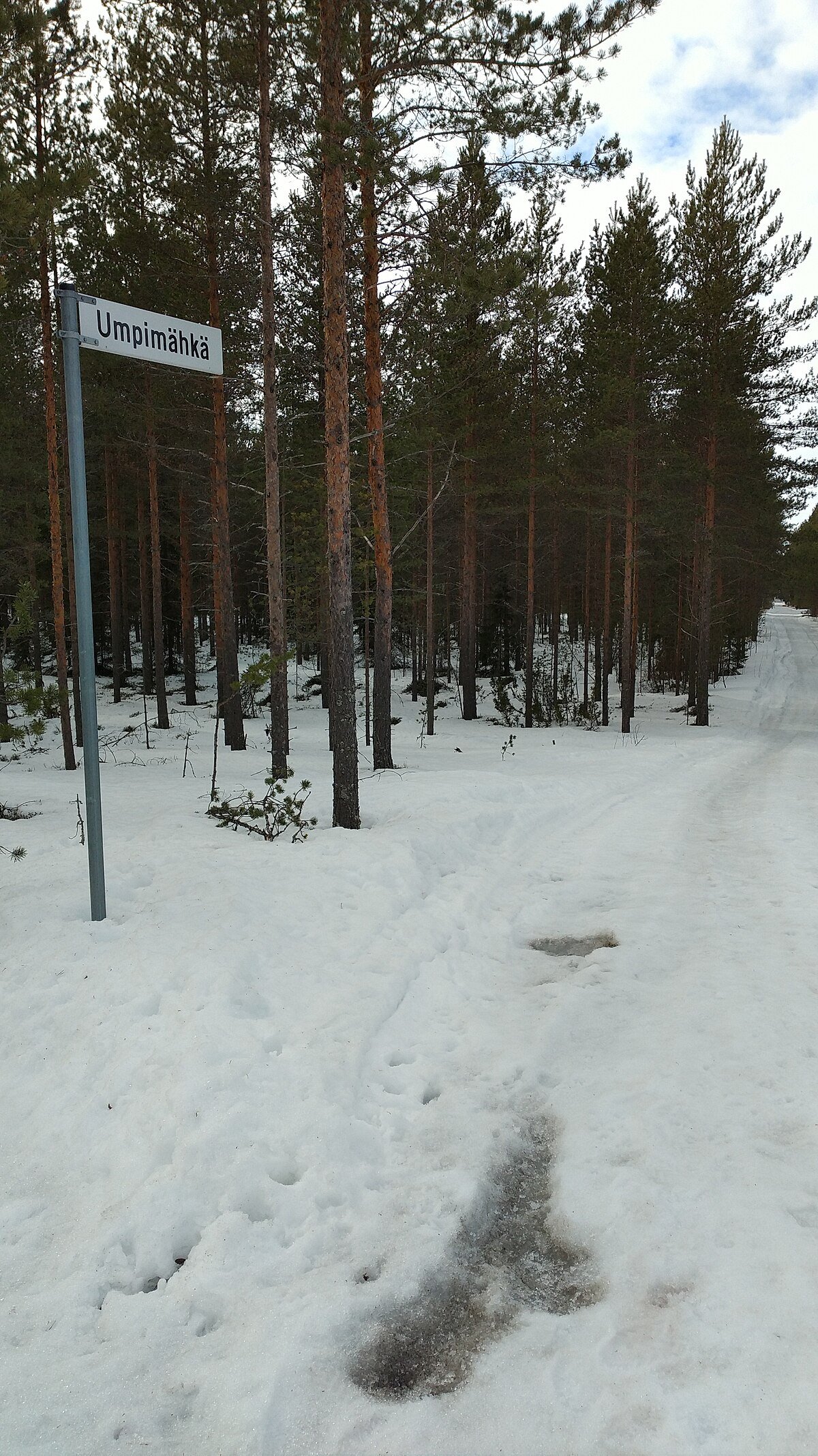 Verkonniemi