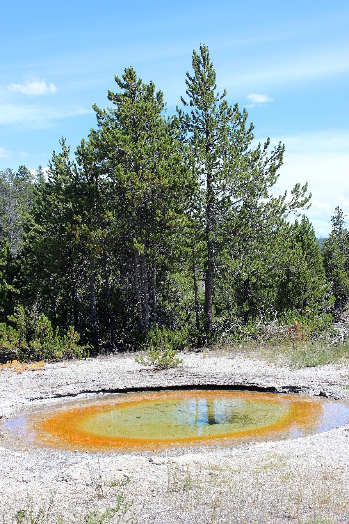 Marathon Pool
