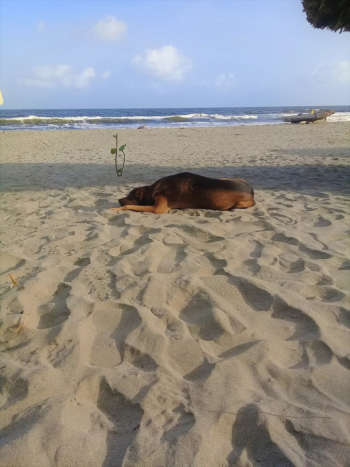 Playa del Viento