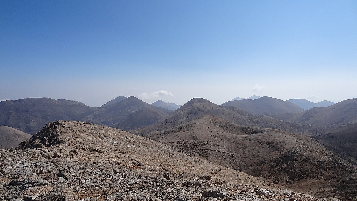 Anthropolithos