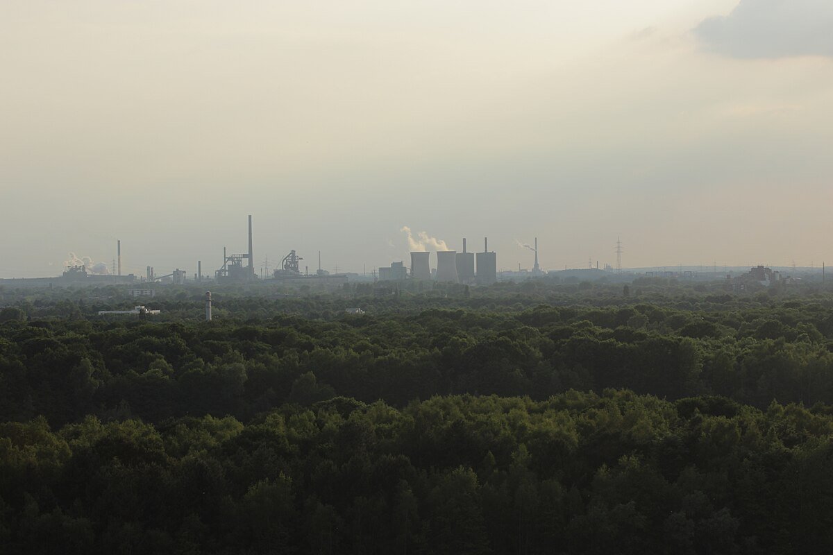 Aussichtsturm Wolfsberg