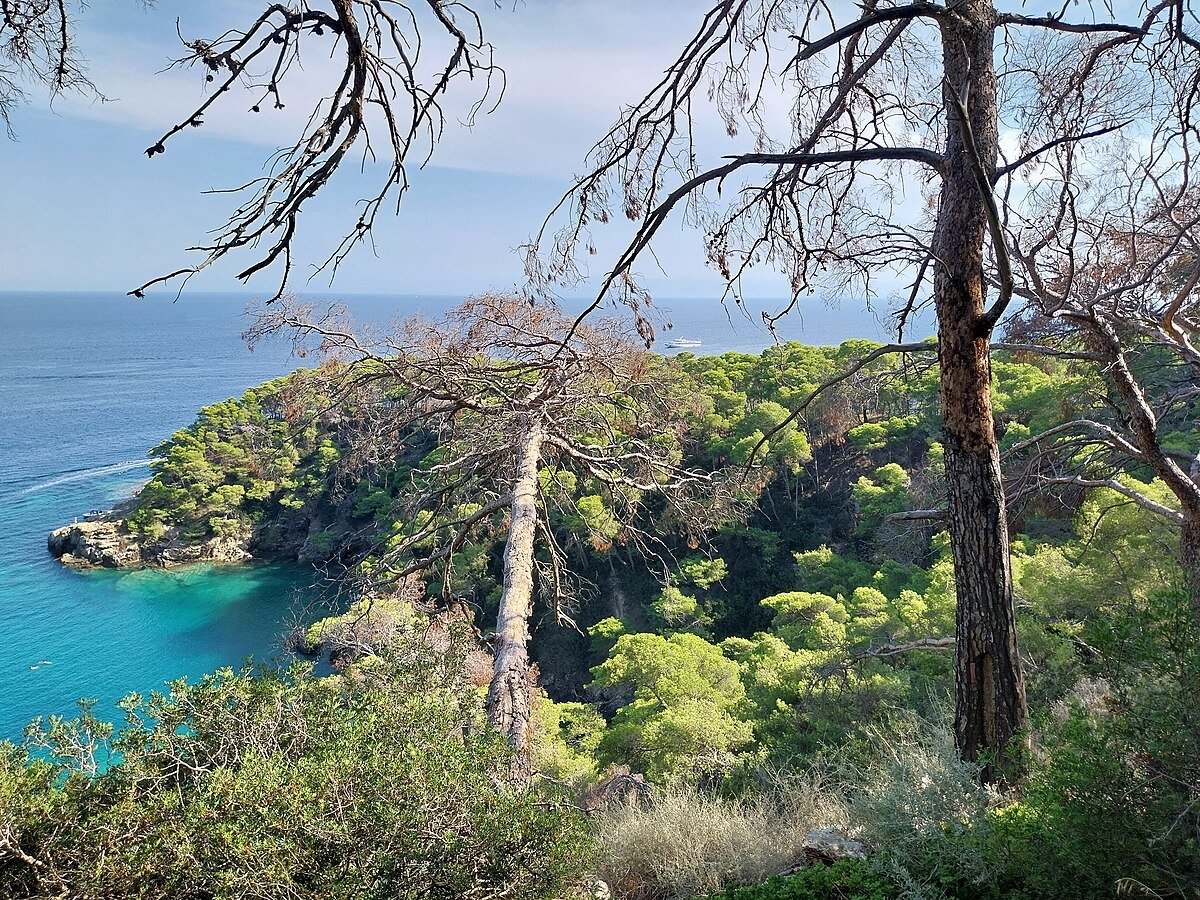 Cala Spido