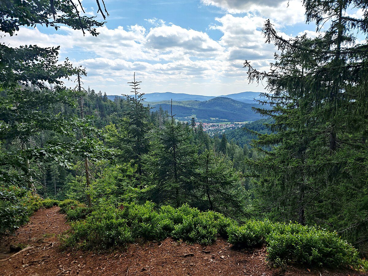 Rieslochfälle