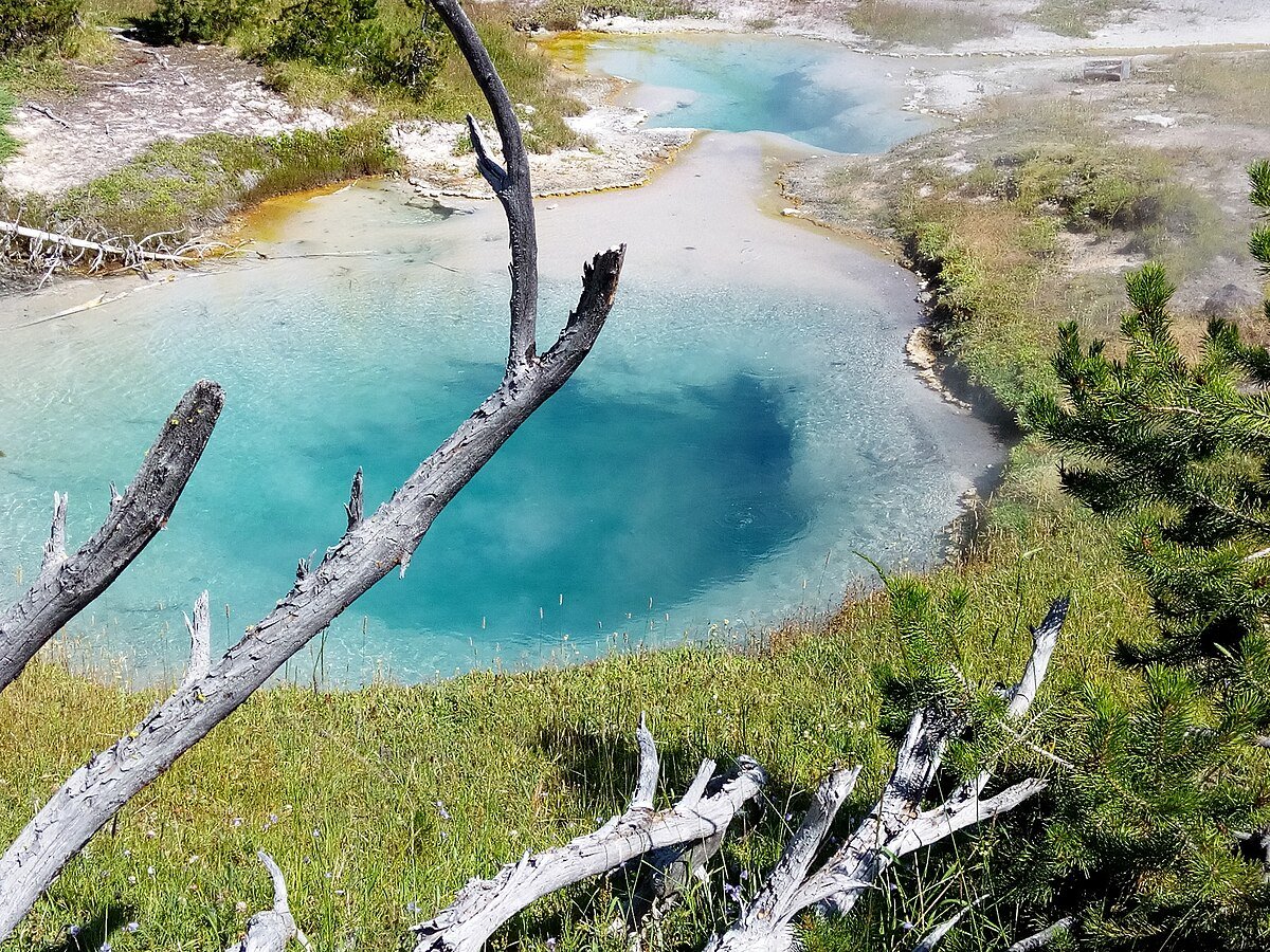 Bluebell Pool